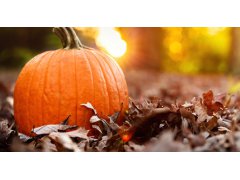 17.11.2025 OTEVŘENO DO 12 HOD.