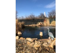 ODZIMOVÁNÍ JEZÍRKA