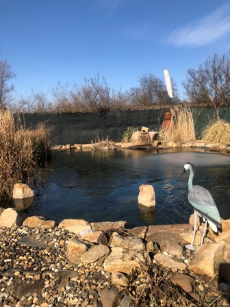 ODZIMOVÁNÍ JEZÍRKA