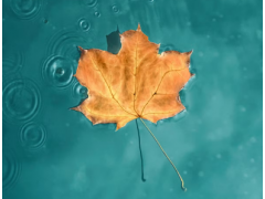 Otevírací doba o státním svátku 28.10.