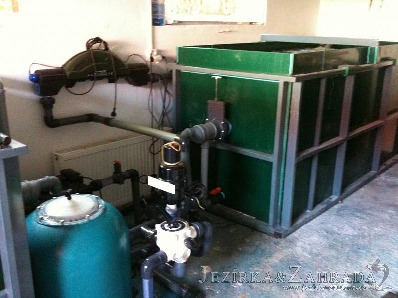 Výstavba zimní odchovny KOI