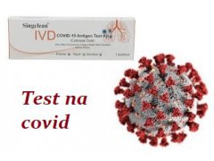 NOVINKA: antigenní slinový test