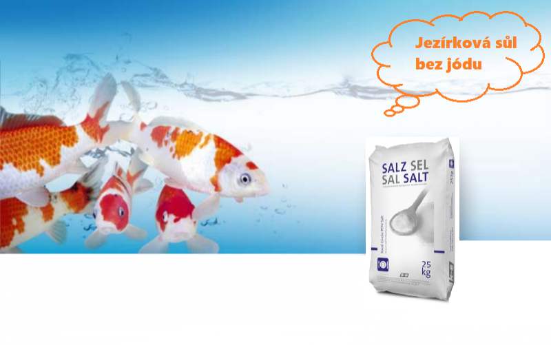 Jezírková sůl bez jódu (1kg) - Ryby a potřeby pro ryby Léčiva pro ryby a vodu