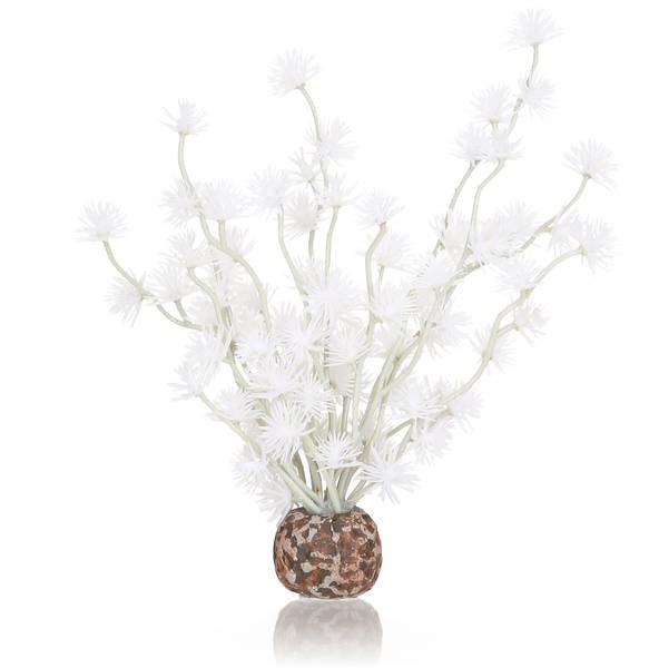 Oase biOrb rostlina Bonsai Ball bílá - Akvaristika, teraristika Oase Dekorace a příslušenství akvária biOrb Rostliny