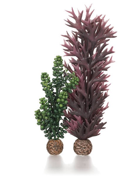 Oase biOrb set rostlin fialová a olivově zelená - Akvaristika, teraristika Oase Dekorace a příslušenství akvária biOrb Rostliny