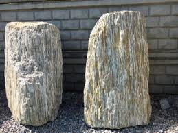 Zkamenělé dřevo 500/1200mm (kg) - Zahradní a vodní doplňky, dekorace Okrasné kameny