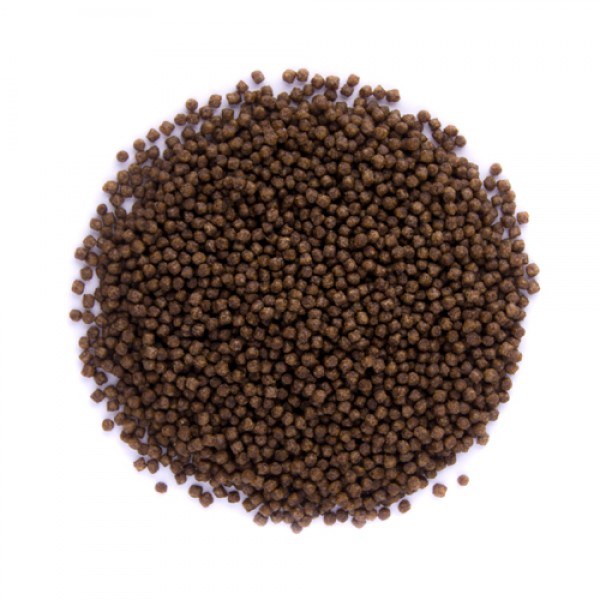 Grower krmivo pro KOI (3,5l - 3mm) - Ryby a potřeby pro ryby Krmiva pro ryby Krmiva pro okrasné ryby