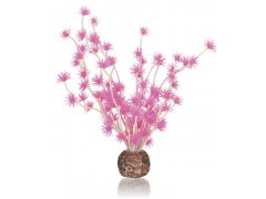 Oase biOrb rostlina Bonsai Ball růžová