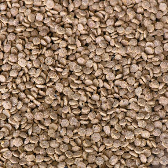 KOI colour krmivo pro KOI (1,2kg-granule 3mm) - Ryby a potřeby pro ryby Krmiva pro ryby Krmiva pro okrasné ryby
