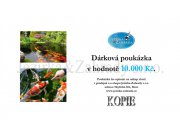 Dárková poukázka 10000 Kč