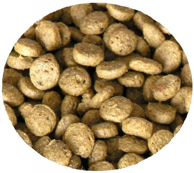 Kanpai excelentní krmivo pro KOI (2kg - 7mm) - Ryby a potřeby pro ryby Krmiva pro ryby Krmiva pro okrasné ryby