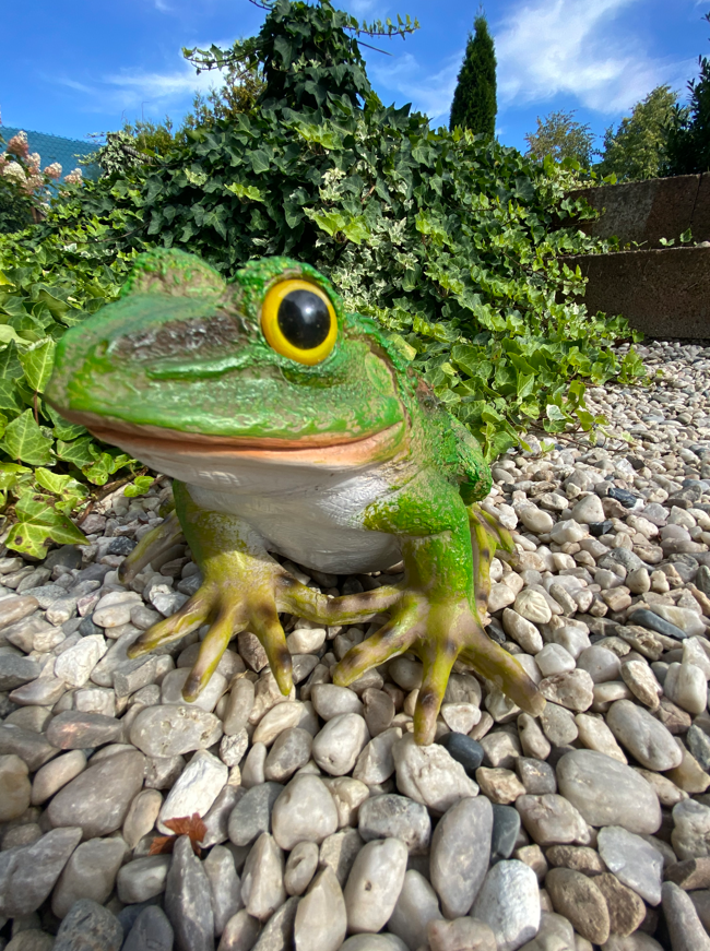 Žába veká (polyston) - Zahradní a vodní doplňky, dekorace Dekorace
