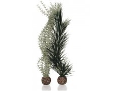 Oase biOrb set rostlin Ambulie šedo-zelená M