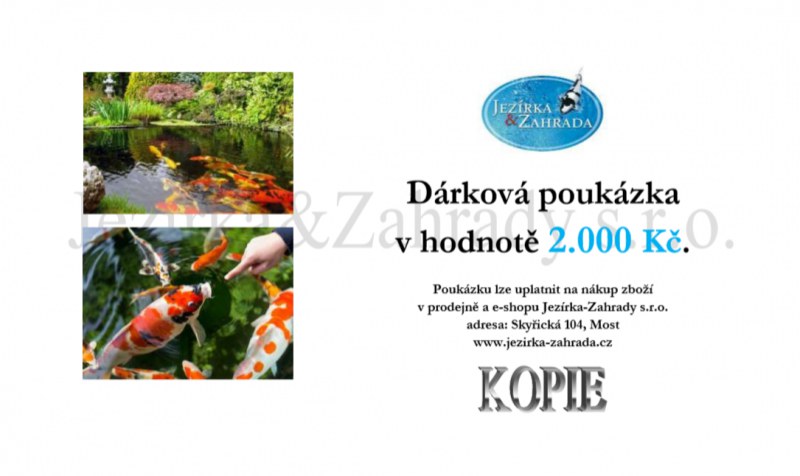 Dárková poukázka 2000 Kč - E-shop Poukázky, suvenýry (KOI)