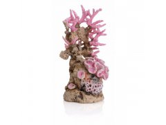Oase biOrb dekorace korály růžové