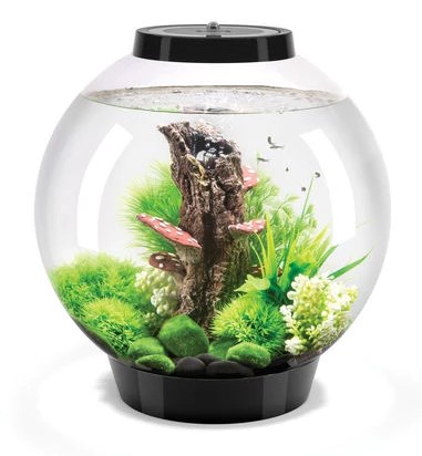 Oase biOrb CLASSIC 30 MCR (akvárium černé) - Akvaristika, teraristika Oase Akvária biOrb biOrb CLASSIC