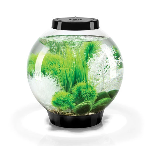 Oase biOrb CLASSIC 15 MCR (akvárium černé) - Akvaristika Oase biOrb Akvária biOrb biOrb CLASSIC