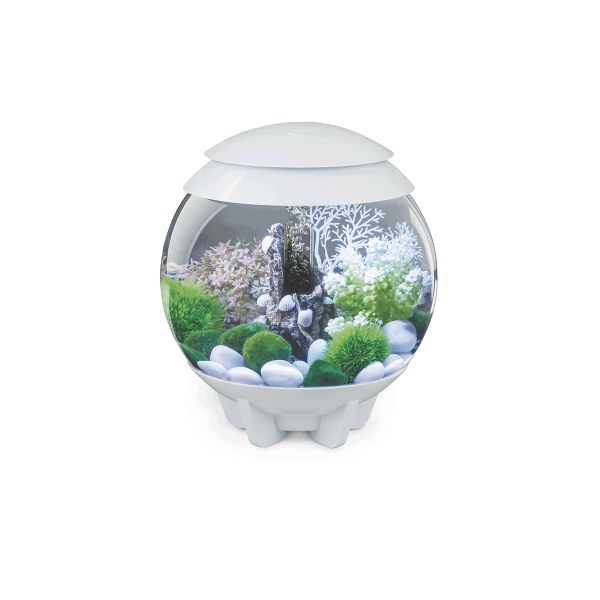 Oase biOrb HALO 30 MCR (akvárium bílé) - Akvaristika Oase biOrb Akvária biOrb biOrb HALO