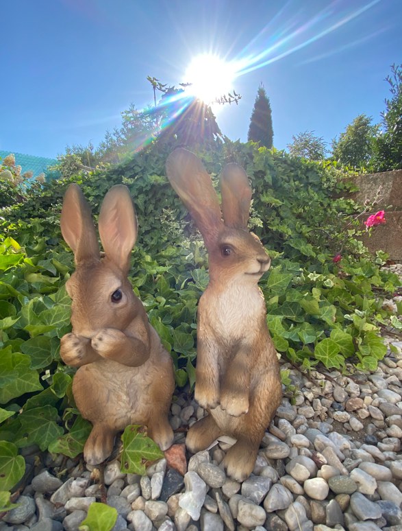 Zajíc střední (polyston) - Zahradní a vodní doplňky, dekorace Dekorace