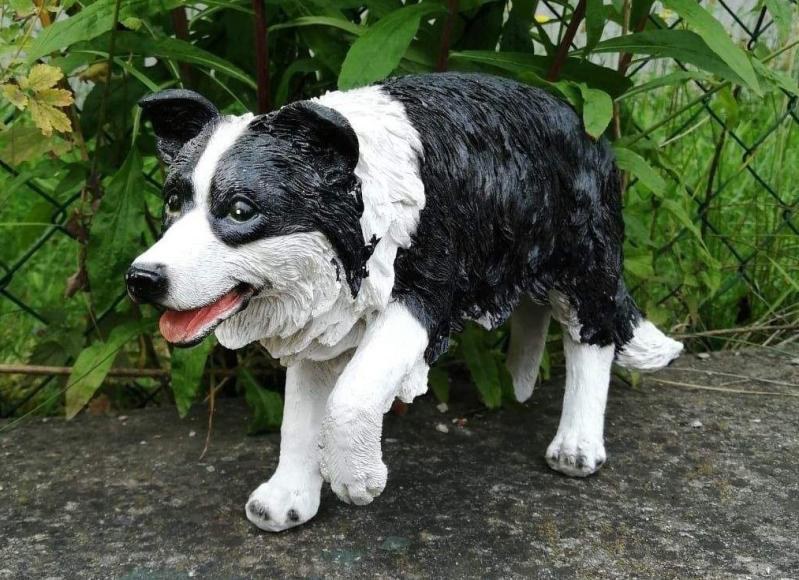 Pes borderkolie (polyston) - Zahradní a vodní doplňky, dekorace Dekorace