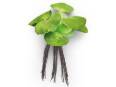 Pontec PondoHyacinth - imitace hyacintu
