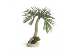 Oase biOrb palma Seychely M