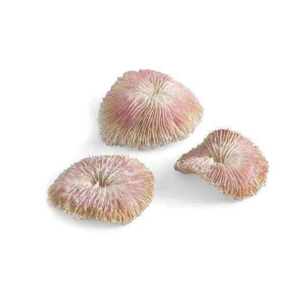 Oase biOrb plate korálová sada