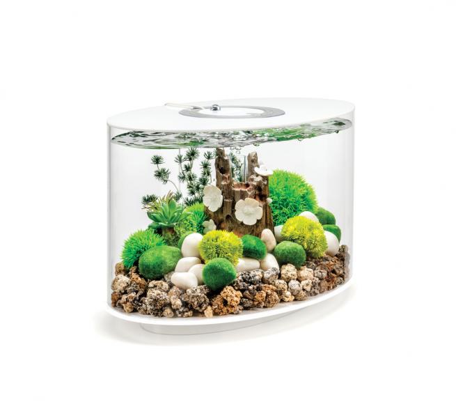 Oase biOrb LOOP 30 LED (akvárium bílé) - Akvaristika, teraristika Oase Akvária biOrb biOrb LOOP