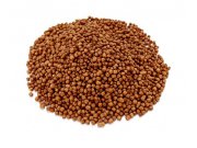 Orange excelentní krmivo na velké přírůstky pro KOI (15 kg - 3mm)