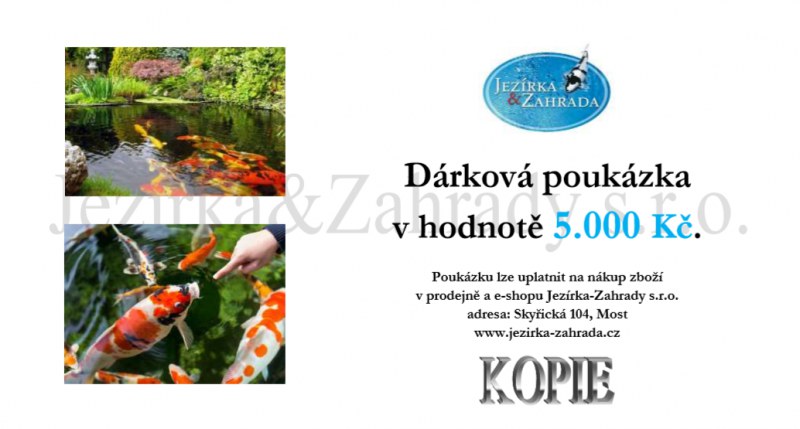 Dárková poukázka 5000 Kč - E-shop Poukázky, suvenýry (KOI)