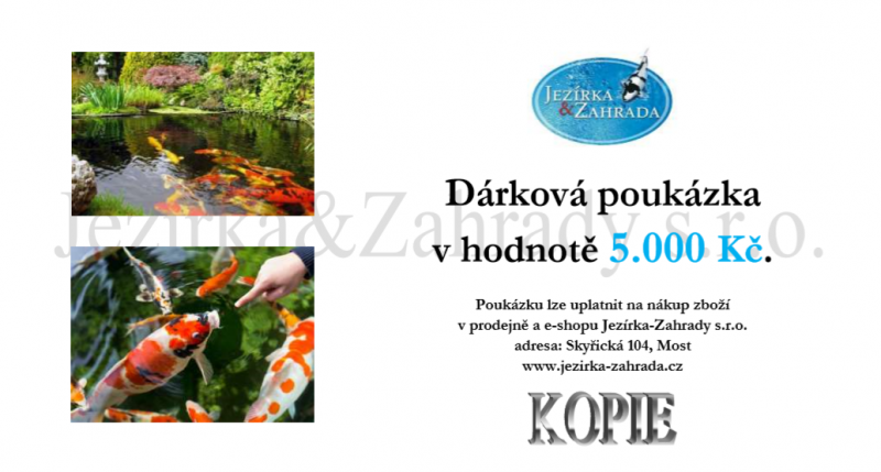 Dárková poukázka 5000 Kč