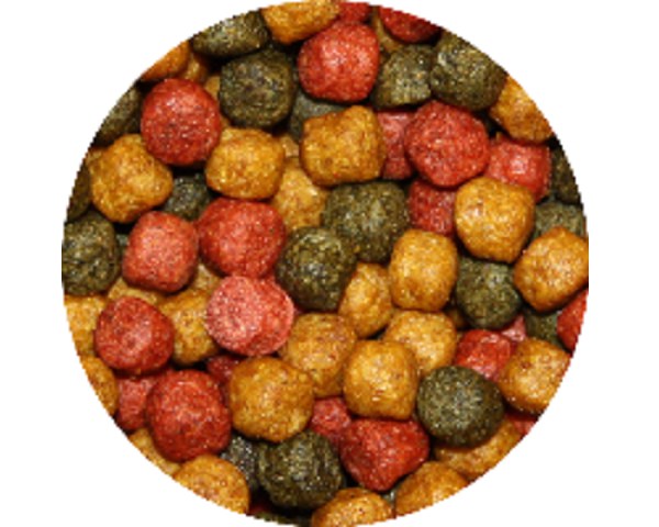 Tříbarevné krmivo na barvu pro KOI (15 kg - 6mm) - Ryby a potřeby pro ryby Krmiva pro ryby Krmiva pro KOI a okrasné ryby