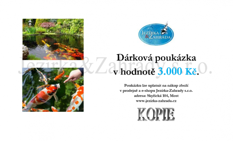 Dárková poukázka 3000 Kč - E-shop Poukázky, suvenýry (KOI)